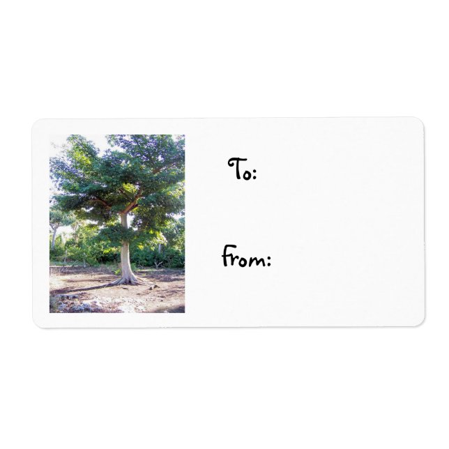 Etiqueta del árbol de sabiduría-navidades (Frente)