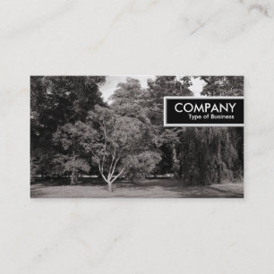 Etiqueta del borde - Árboles, Parque Bute, Cardiff