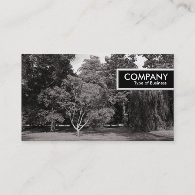 Etiqueta del borde - Árboles, Parque Bute, Cardiff (Anverso)