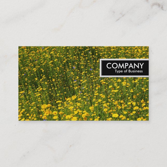 Etiqueta del borde - cama de marrón amarillo (Anverso)