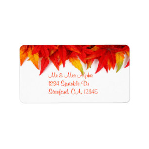 Etiqueta del Día de Acción de Gracias