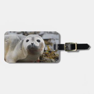 Etiqueta del equipaje de cría de foca