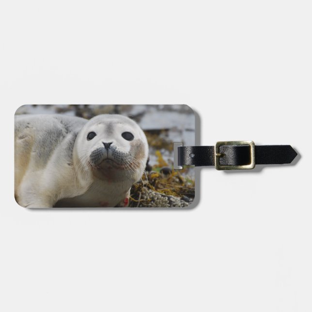 Etiqueta del equipaje de cría de foca (Frente Horizontal)