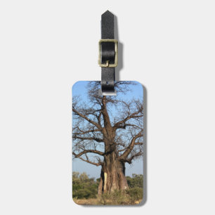 Etiqueta del equipaje del árbol del baobab