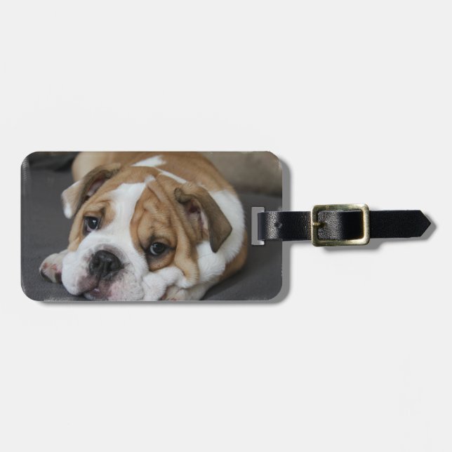 Etiqueta del equipaje del bulldog el dormir (Frente Horizontal)