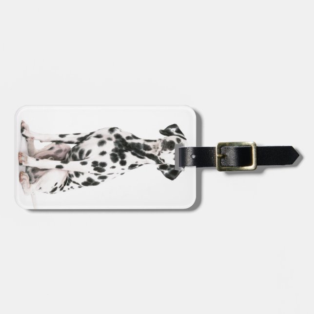 Etiqueta del equipaje del perro del fuego (Frente Horizontal)