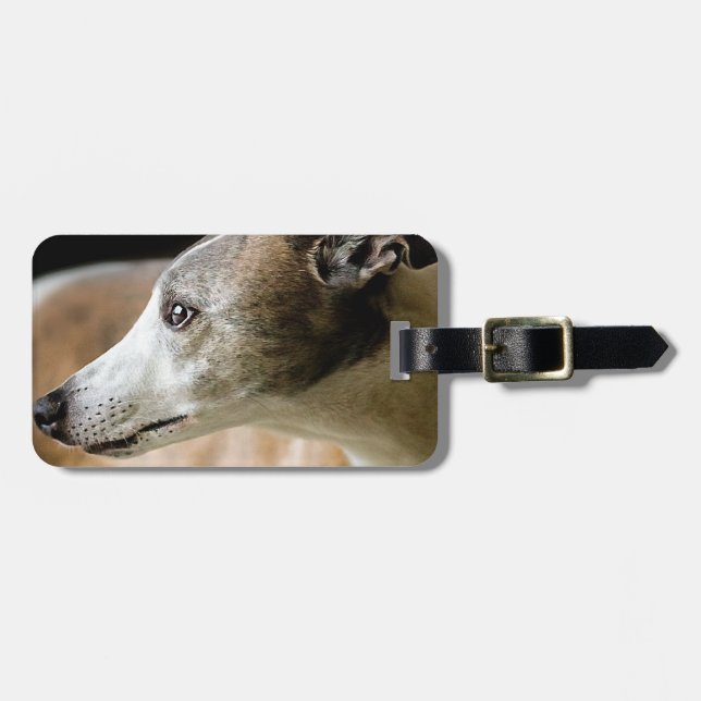 Etiqueta del equipaje del perro del galgo (Frente Horizontal)