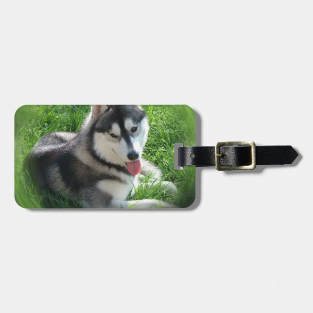 Etiqueta del equipaje del perro del husky (Frente Horizontal)