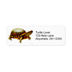 Etiqueta del este de la tortuga de caja