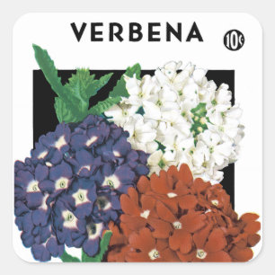Etiqueta del paquete de la semilla de la verbena