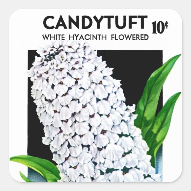 Etiqueta del paquete de semillas de Candytuft (Anverso)