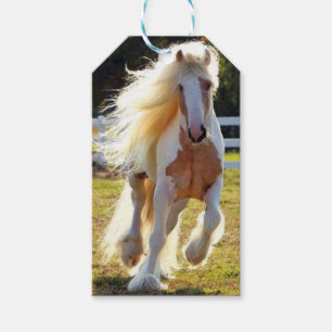 Etiqueta del regalo del caballo