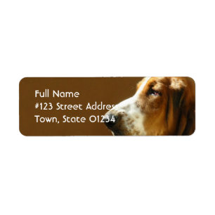 Etiqueta del remite de Basset Hound