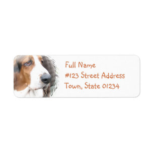 Etiqueta del remite de Basset Hound