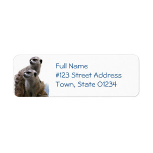 Etiqueta del remite de los pares de Meerkat