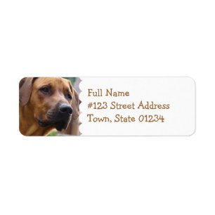 Etiqueta del remite de Rhodesian Ridgeback