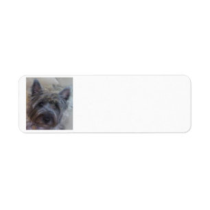 Etiqueta del remite del amante del perro