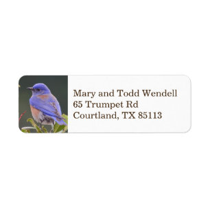 Etiqueta del remite del Bluebird