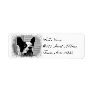 Etiqueta del remite del perro de Boston Terrier