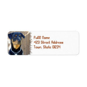 Etiqueta del remite del perro de Rottweiler