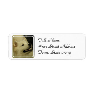 Etiqueta del remite del perro del samoyedo