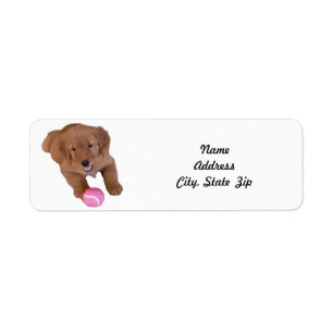 Etiqueta del remite, perrito del golden retriever