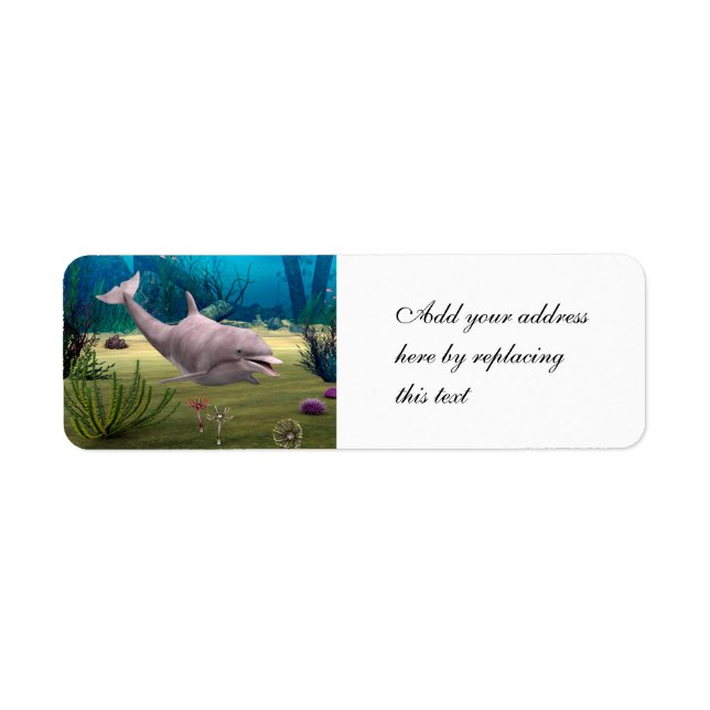 Etiqueta Delfín sonriente (Frente)