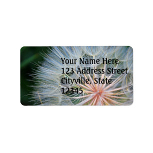 Etiqueta Deseos nuevos caídos