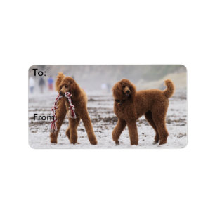 Etiqueta Día 2010 #10 del caniche