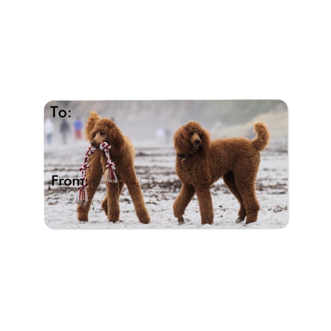 Etiqueta Día del perro caniche 2010 #10 (Frente)