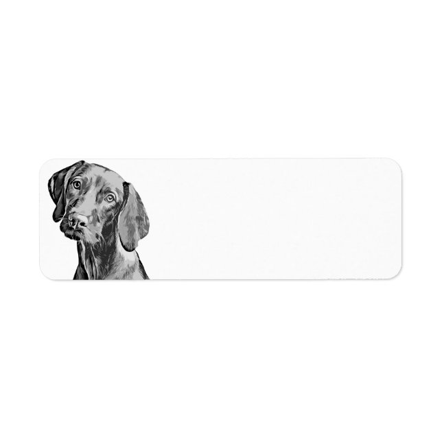 Etiqueta Dibujo de Vizsla (Frente)