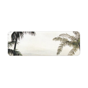 Etiqueta Dinosaurios vintage, Amargasaurus con Palmeras