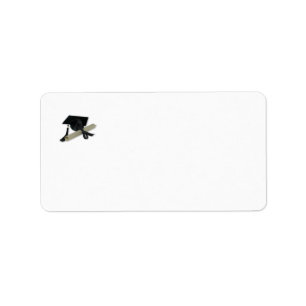 Etiqueta Diploma y casquillo de la graduación (tablero del