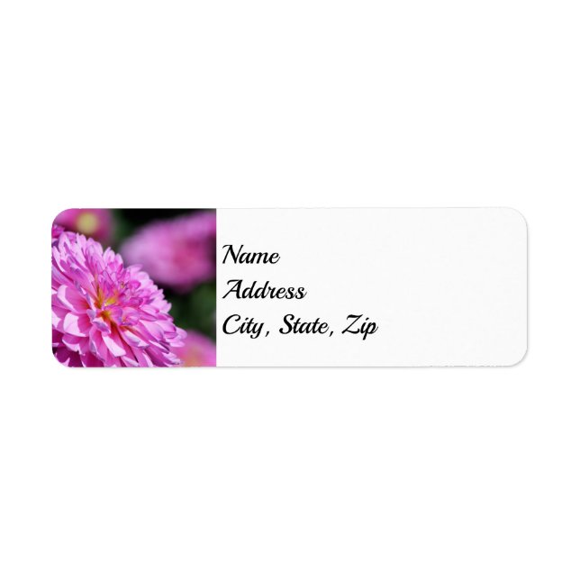 Etiqueta Dirección Dahlia Purple Summer (Frente)