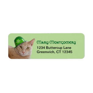 Etiqueta Dirección de adorable gato naranja que lleva un so