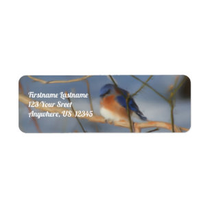 Etiqueta Dirección de arte de Winter Bluebird Nature