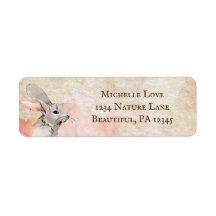 Dirección de conejo de conejo dulce