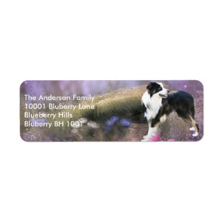Etiqueta Dirección de Devolución Border Collie