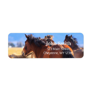 Etiqueta Dirección de devolución de caballos salvajes