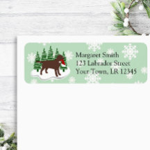 Dirección de devolución de chocolate Labrador Ever