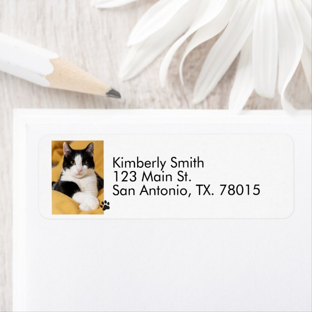 Etiqueta  Dirección de devolución de foto de gato  (In situ)