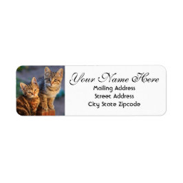 Etiqueta Dirección de devolución de gatitos