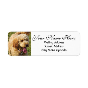 Etiqueta Dirección de devolución de goldendoodle