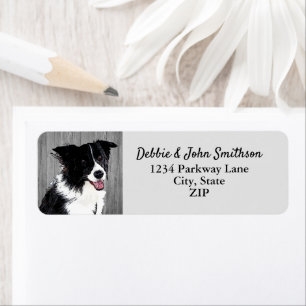 Etiqueta Dirección de devolución de perro collie de borde a