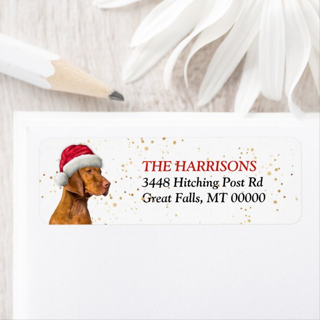 Etiqueta Dirección de devolución de perro de Santa Hat Vizs (In situ)