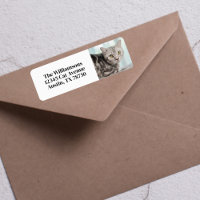 Dirección de devolución del propietario del Mascot