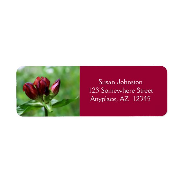 Etiqueta Dirección de flor gentiana roja (Frente)