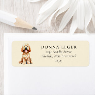 Etiqueta Dirección de perro de Labradoodle Goldendoodle
