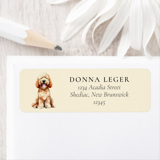 Etiqueta Dirección de perro de Labradoodle Goldendoodle (In situ)