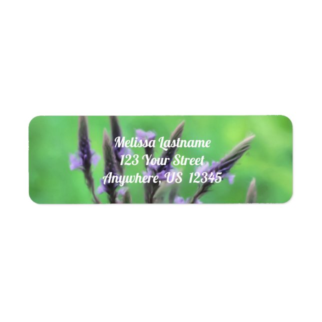 Etiqueta Dirección de pintura Purple Vervain Wildflower (Frente)